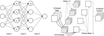 An improved automated diatom detection method based on YOLOv5 framework and its preliminary study for taxonomy recognition in the forensic diatom test